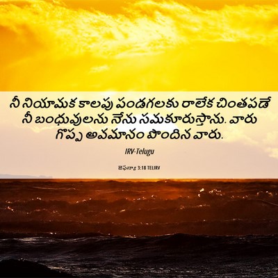 Picture 06 - జెఫన్యా 3:18 TELIRV - నీ నియామక కాలపు - Bible Verse Picture