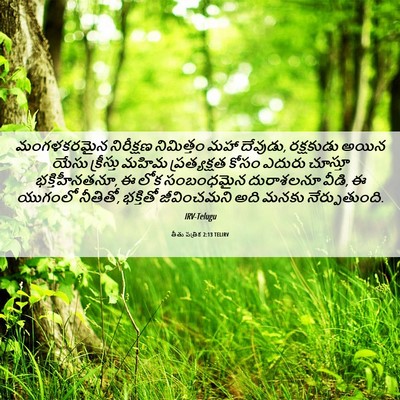 Picture 06 - తీతు పత్రిక 2:13 TELIRV - మంగళకరమైన - Bible Verse Picture
