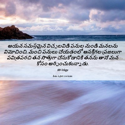 Picture 06 - తీతు పత్రిక 2:14 TELIRV - ఆయన సమస్తమైన - Bible Verse Picture