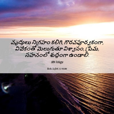 Picture 06 - తీతు పత్రిక 2:2 TELIRV - వృద్ధులు నిగ్రహం - Bible Verse Picture
