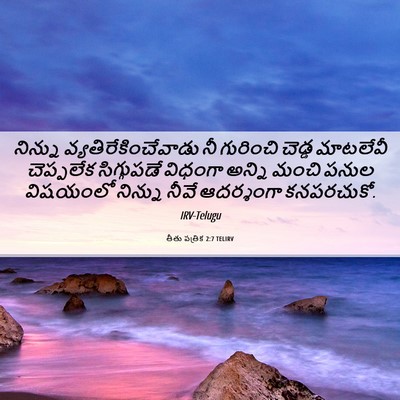 Picture 06 - తీతు పత్రిక 2:7 TELIRV - నిన్ను - Bible Verse Picture