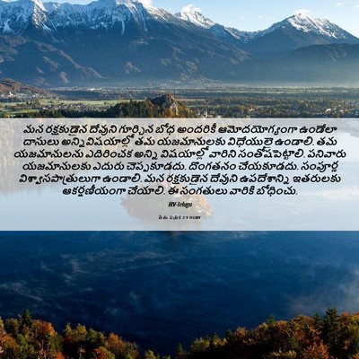 Picture 06 - తీతు పత్రిక 2:9 TELIRV - మన రక్షకుడైన - Bible Verse Picture
