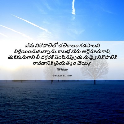 Picture 06 - తీతు పత్రిక 3:12 TELIRV - నేను నికొపొలిలో - Bible Verse Picture