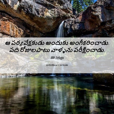 Picture 06 - దానియేలు 1:14 TELIRV - ఆ పర్యవేక్షకుడు - Bible Verse Picture