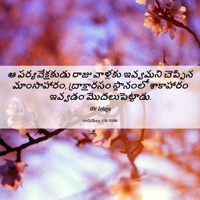 Picture 06 - దానియేలు 1:16 TELIRV - ఆ పర్యవేక్షకుడు - Bible Verse Picture