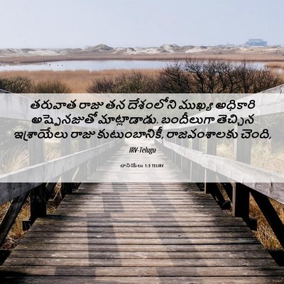 Picture 06 - దానియేలు 1:3 TELIRV - తరువాత రాజు తన - Bible Verse Picture