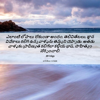 Picture 06 - దానియేలు 1:4 TELIRV - ఎలాంటి లోపాలు - Bible Verse Picture