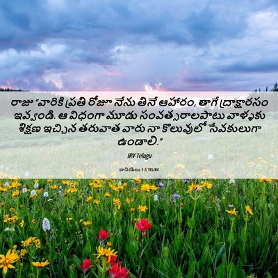 Picture 06 - దానియేలు 1:5 TELIRV - రాజు “వారికి - Bible Verse Picture