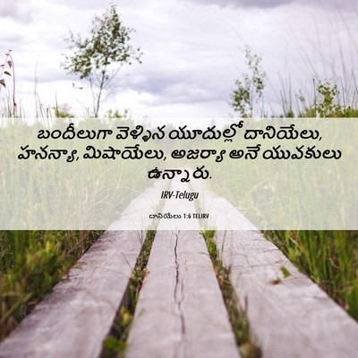 Picture 06 - దానియేలు 1:6 TELIRV - బందీలుగా వెళ్ళిన - Bible Verse Picture