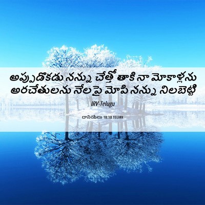 Picture 06 - దానియేలు 10:10 TELIRV - అప్పుడొకడు నన్ను - Bible Verse Picture