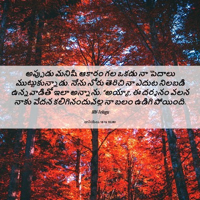 Picture 06 - దానియేలు 10:16 TELIRV - అప్పుడు మనిషి - Bible Verse Picture