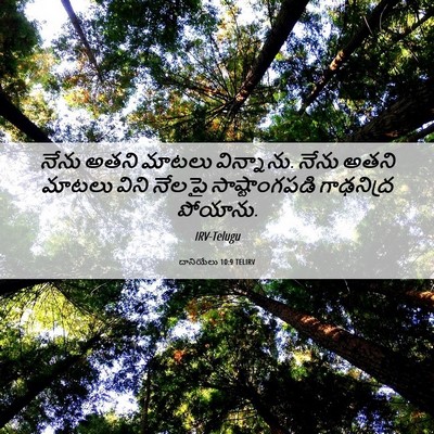 Picture 06 - దానియేలు 10:9 TELIRV - నేను అతని మాటలు - Bible Verse Picture