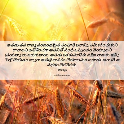 Picture 06 - దానియేలు 11:17 TELIRV - అతడు తన రాజ్య - Bible Verse Picture