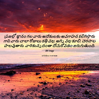 Picture 06 - దానియేలు 11:33 TELIRV - ప్రజల్లో జ్ఞానం - Bible Verse Picture