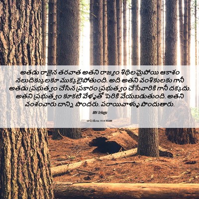 Picture 06 - దానియేలు 11:4 TELIRV - అతడు రాజైన తరవాత - Bible Verse Picture