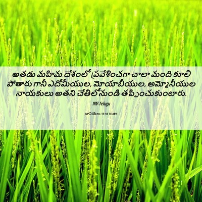 Picture 06 - దానియేలు 11:41 TELIRV - అతడు మహిమ దేశంలో - Bible Verse Picture