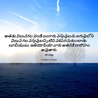 Picture 06 - దానియేలు 11:43 TELIRV - అతడు విలువగల - Bible Verse Picture