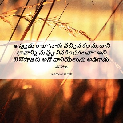 Picture 06 - దానియేలు 2:26 TELIRV - అప్పుడు రాజు - Bible Verse Picture