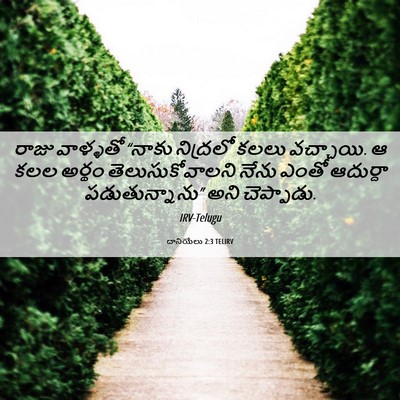Picture 06 - దానియేలు 2:3 TELIRV - రాజు వాళ్ళతో - Bible Verse Picture