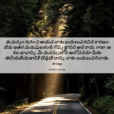 Picture 06 - దానియేలు 2:30 TELIRV - ఈ మర్మం గురించి - Bible Verse Picture