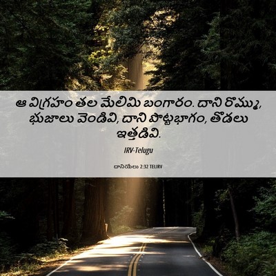 Picture 06 - దానియేలు 2:32 TELIRV - ఆ విగ్రహం తల - Bible Verse Picture