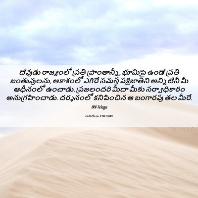 Picture 06 - దానియేలు 2:38 TELIRV - దేవుడు రాజ్యంలో - Bible Verse Picture