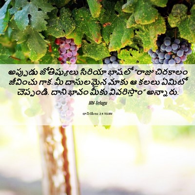 Picture 06 - దానియేలు 2:4 TELIRV - అప్పుడు - Bible Verse Picture