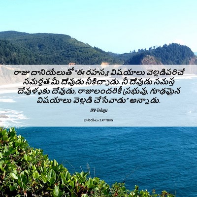 Picture 06 - దానియేలు 2:47 TELIRV - రాజు దానియేలుతో - Bible Verse Picture