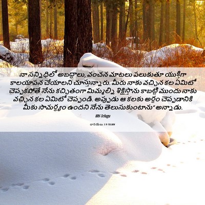 Picture 06 - దానియేలు 2:9 TELIRV - నా సన్నిధిలో - Bible Verse Picture