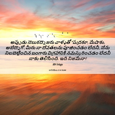 Picture 06 - దానియేలు 3:14 TELIRV - అప్పుడు - Bible Verse Picture