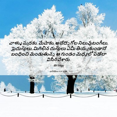 Picture 06 - దానియేలు 3:21 TELIRV - వాళ్ళు షద్రకు, - Bible Verse Picture
