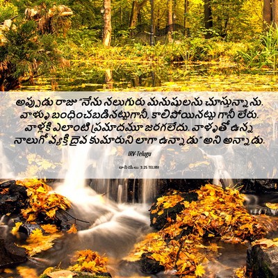 Picture 06 - దానియేలు 3:25 TELIRV - అప్పుడు రాజు - Bible Verse Picture