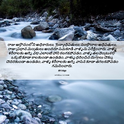 Picture 06 - దానియేలు 3:27 TELIRV - రాజు ఆస్థానంలోని - Bible Verse Picture