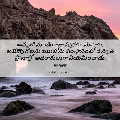 Picture 06 - దానియేలు 3:30 TELIRV - అప్పటి నుండి రాజు - Bible Verse Picture