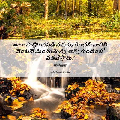 Picture 06 - దానియేలు 3:6 TELIRV - అలా సాష్టాంగపడి - Bible Verse Picture