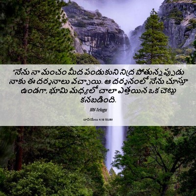 Picture 06 - దానియేలు 4:10 TELIRV - “నేను నా మంచం మీద - Bible Verse Picture