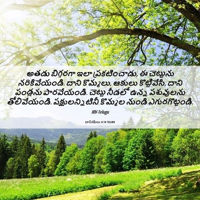 Picture 06 - దానియేలు 4:14 TELIRV - అతడు బిగ్గరగా ఇలా - Bible Verse Picture
