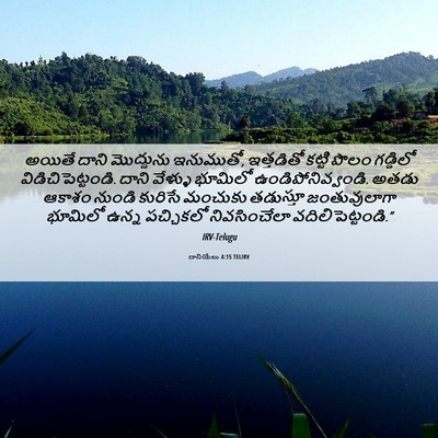 Picture 06 - దానియేలు 4:15 TELIRV - అయితే దాని - Bible Verse Picture
