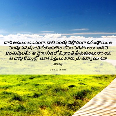 Picture 06 - దానియేలు 4:21 TELIRV - దాని ఆకులు అందంగా, - Bible Verse Picture