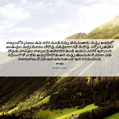 Picture 06 - దానియేలు 4:32 TELIRV - రాజ్యంలోని ప్రజలు - Bible Verse Picture