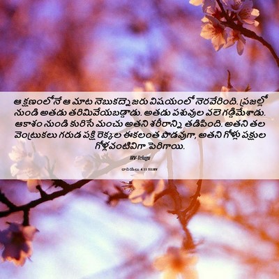 Picture 06 - దానియేలు 4:33 TELIRV - ఆ క్షణంలోనే ఆ మాట - Bible Verse Picture