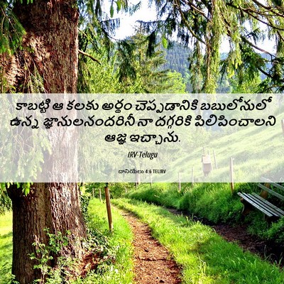 Picture 06 - దానియేలు 4:6 TELIRV - కాబట్టి ఆ కలకు - Bible Verse Picture