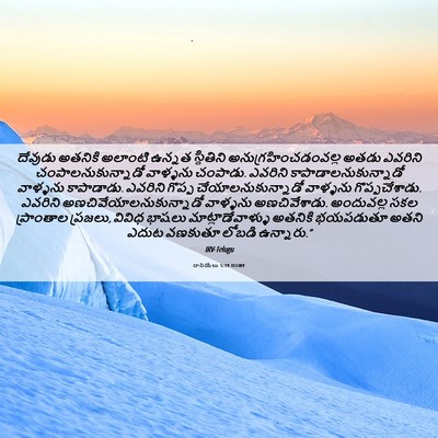 Picture 06 - దానియేలు 5:19 TELIRV - దేవుడు అతనికి - Bible Verse Picture