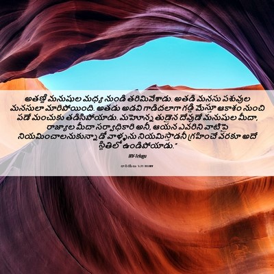 Picture 06 - దానియేలు 5:21 TELIRV - అతణ్ణి మనుషుల - Bible Verse Picture