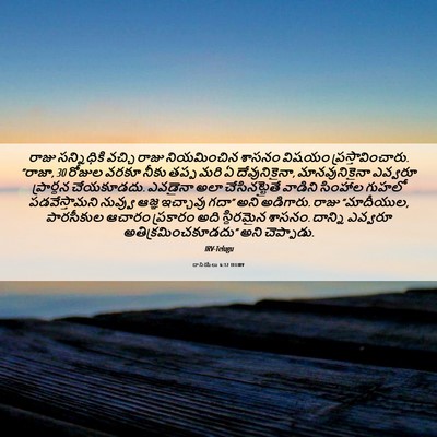 Picture 06 - దానియేలు 6:12 TELIRV - రాజు సన్నిధికి - Bible Verse Picture