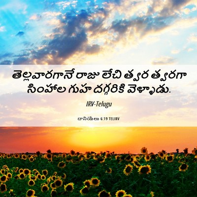Picture 06 - దానియేలు 6:19 TELIRV - తెల్లవారగానే రాజు - Bible Verse Picture
