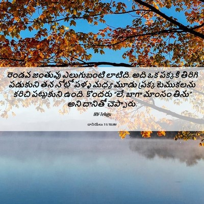 Picture 06 - దానియేలు 7:5 TELIRV - రెండవ జంతువు - Bible Verse Picture