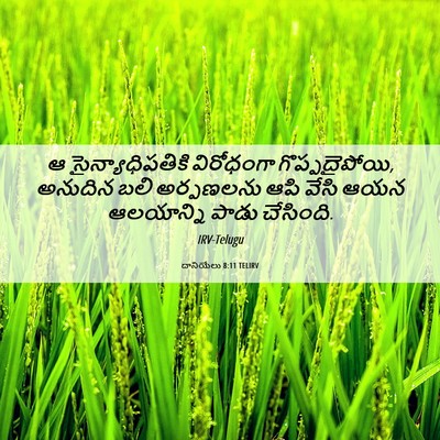 Picture 06 - దానియేలు 8:11 TELIRV - ఆ సైన్యాధిపతికి - Bible Verse Picture
