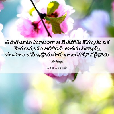 Picture 06 - దానియేలు 8:12 TELIRV - తిరుగుబాటు మూలంగా - Bible Verse Picture