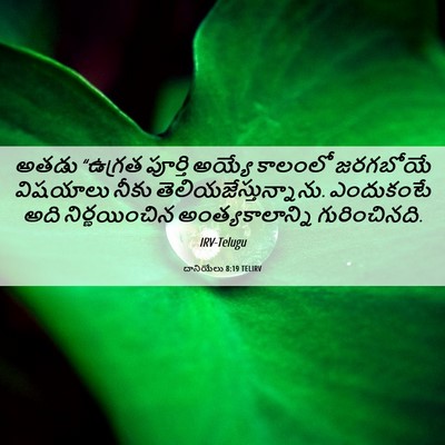 Picture 06 - దానియేలు 8:19 TELIRV - అతడు “ఉగ్రత - Bible Verse Picture